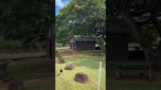 #cruise #adventure #funtimes #vacation #travel #travelphotography #vlog #blog #cruiseadventure