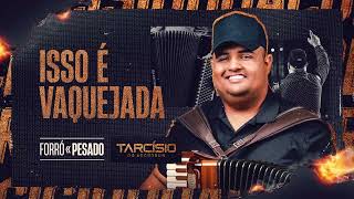 Download ISSO É VAQUEJADA – Tarcísio do Acordeon