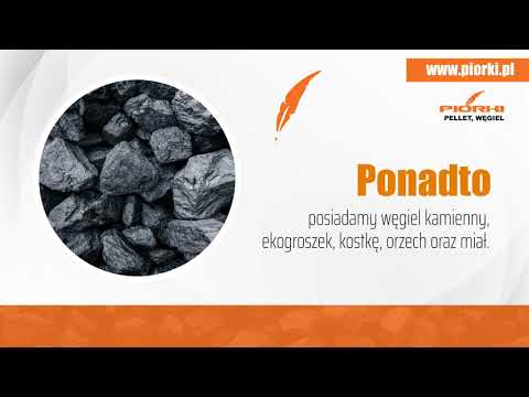 Zobacz filmy, Piórki Pphu Marcin Piórkowski, Zwierzyn