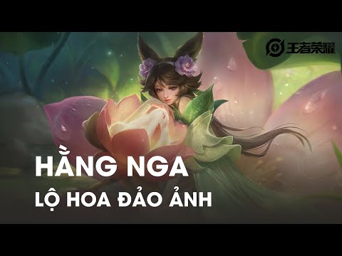 Lộ Hoa Đảo Ảnh