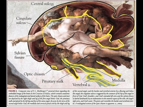 2015 Maps of Meaning Lecture 03a: Narrative, Neuropsychology & Mythology I (Part 1)