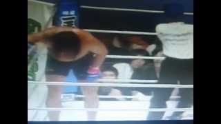 UFC 2012 под Papa Roach - Last Resort