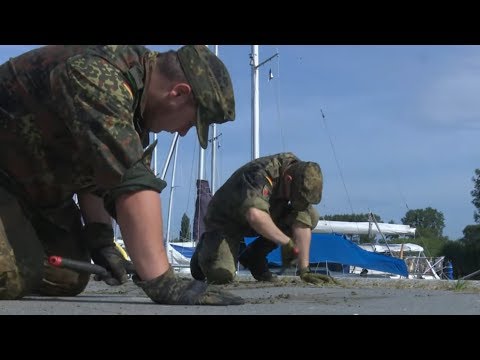 KAMPF GEGEN UNKRAUT: Bundeswehr in Ueckermünde im Spezialeinsatz