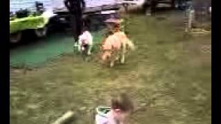 The Happy Campers Song!!!!!!!