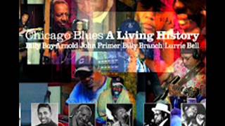 John Primer - Moanin' At Midnight