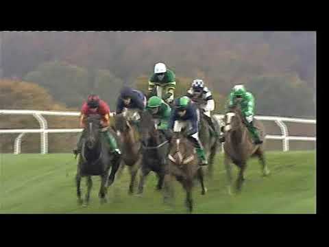 2009 paddypower.com Handicap Chase - Open meeting