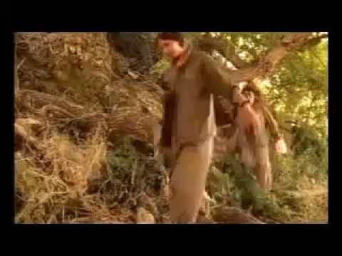 Argeş Ararat - Gulê