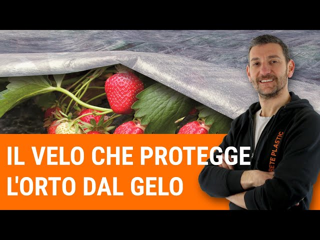 Il velo che protegge l'orto dal gelo