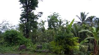 preview picture of video 'NEAR ATTAPADY VALLEY  travelviews 843 by sabukeralam & travelviewsonline'