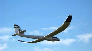preview picture of video 'Parkzone Radian Sailplane'