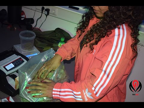 Mevia Fatale - 2. Mevia Fatale