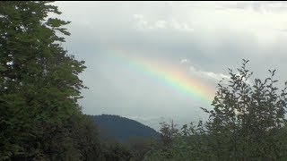 Pirillo Vlog 491 - Maybe the Rainbow Made Diana Sick?