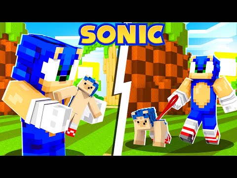 Sonic's NEW Pet Hedgehog! [103] | Sonic The Hedgehog 2 | Minecraft