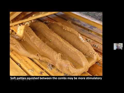 Randy Oliver: Managing Colonies During Spring Buildup