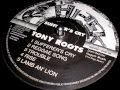 Tony Roots // Reggae Song