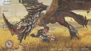 【モンハンワイルズ】ハンマー生活
