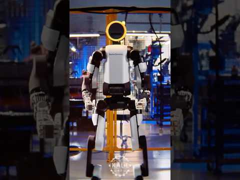 The Robot That's About to Replace Factory Workers