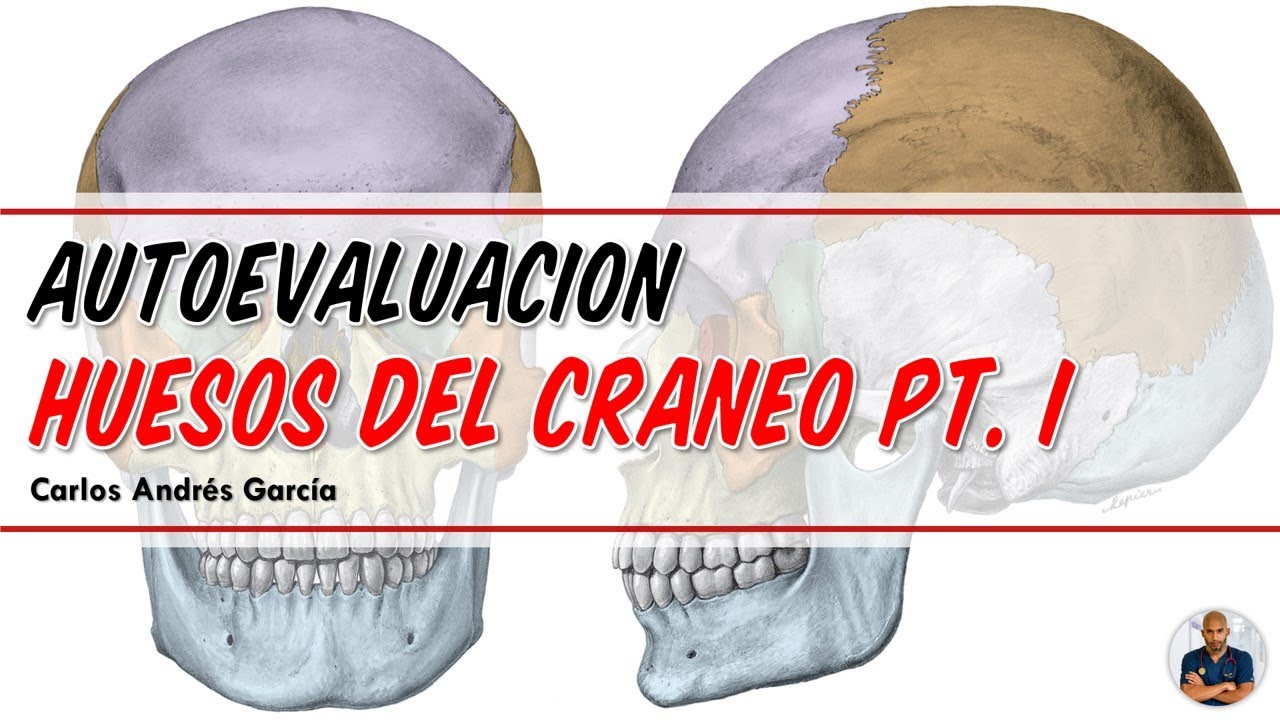 AUTOEVALUACION - ¡25 PREGUNTAS DE HUESOS DEL CRÁNEO QUE DEBES CONOCER!
