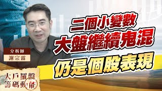 二個小變數 大盤繼續鬼混 仍是個股表現 (圖)