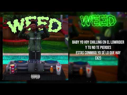 [MARBELLA 3] WEED🌿 - ANDRS #29670  (PABLOKILO)