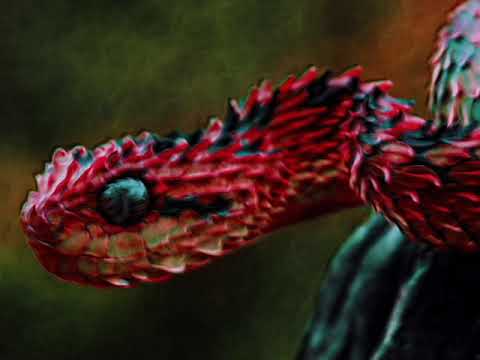 davaidasha X BLEJ - Temtruul (𝙨𝙡𝙤𝙬𝙚𝙙 + 𝙧𝙚𝙫𝙚𝙧𝙗)