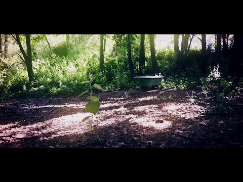 Lugverfrisser - Kinderlik Opgewonde