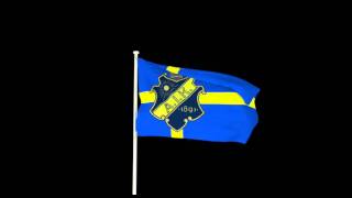 Svenska flaggans dag