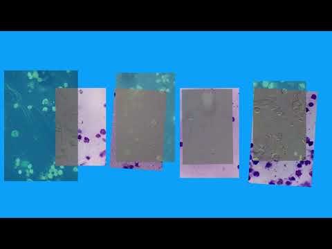 0FD78AA72B1B40A39EC6BECFBCCF8B#1