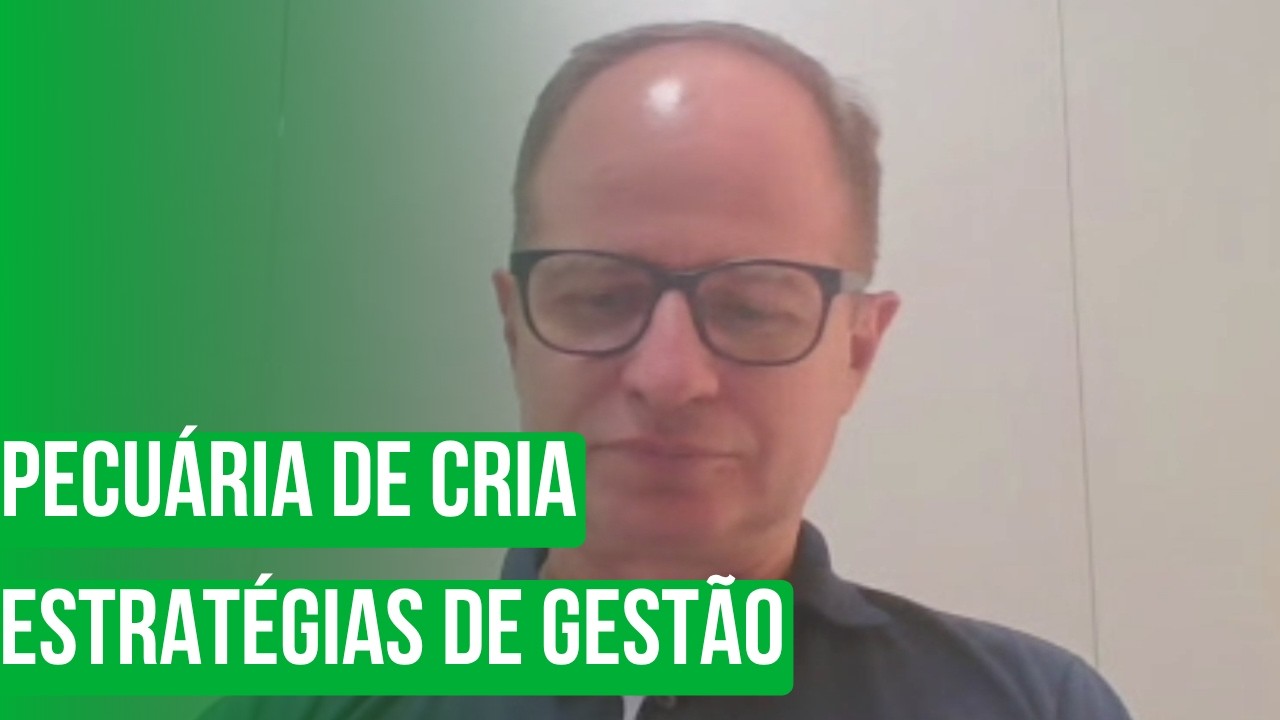Pecuária de Cria: Estratégias de Gestão, IATF e Nutrição para Valorizar o Bezerro