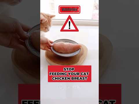 4 Ways to Feed Chicken Breast to Your Cat 🐱❤️  #petcare