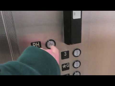 Long Hydraulic Freight Elevator At WU Brauer Hall (With STL Elevators