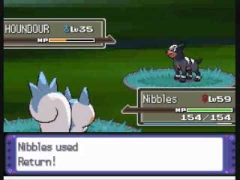 Pachirisu Only Run - Lake Verity