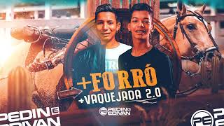 PEDIN E EDIVAN / + FORRÓ + VAQUEJADA 2.0