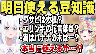 とフェネック系Vtuber尾丸ポルカ #shorts #ホロライブ