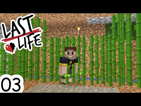 Minecraft Last Life SMP | Ep 03 - THE GREAT SUGARCANE HEIST!