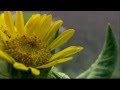 Miktek - Incompressible Flow (HD) 
