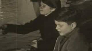 School of Fish - Wrong