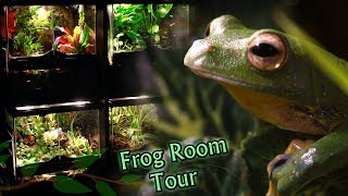 23 Pet Frogs!!!! My Frog Room Tour | Electra Snow