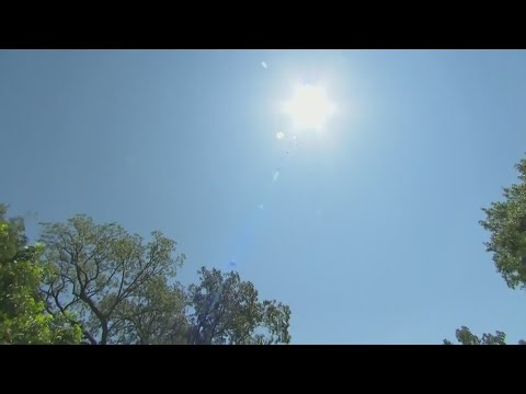 Father of Terry and Bobby Labonte has died | wfmynews2.com