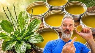 My Homemade Plantain Salve Will Save Your Skin