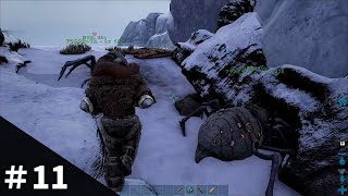 ARK（PVE：#11）天帝ソロ探索：コウモリのバグがすごいんじゃ