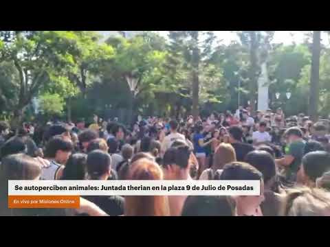 Se autoperciben animales: Juntada therian en la plaza 9 de Julio de Posadas