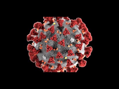 The 12 days of Quarantine