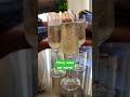 Champagne Toast Shorts Cheers Italy