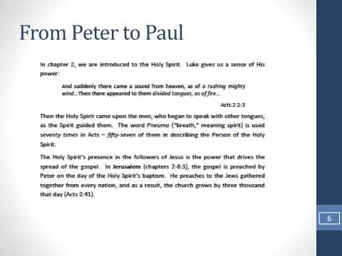 New Testament Survey 1 Lesson 7