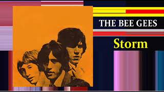 THE BEE GEES Storm