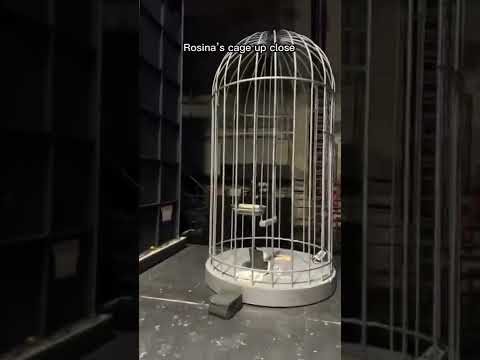 Go to previous video for part 1! #shorts