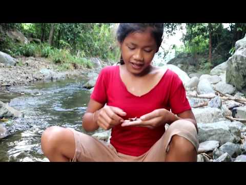 download lagu mp3 mp4 Girl Forest, download lagu Girl Forest gratis, unduh video klip Girl Forest