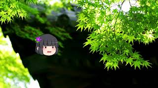 源氏物語　玉鬘