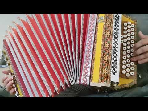 Istrijanko ružo moja